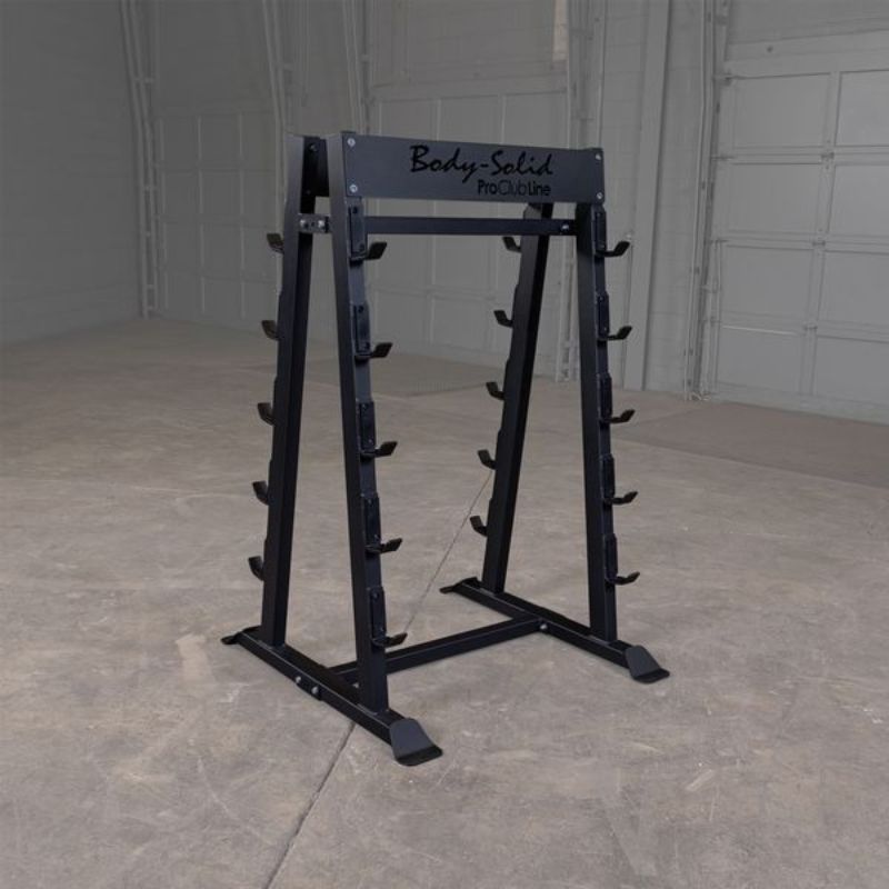 Body-Solid ProClub, Body-Solid Pro Clubline Rack d'haltères fixes SBBR100