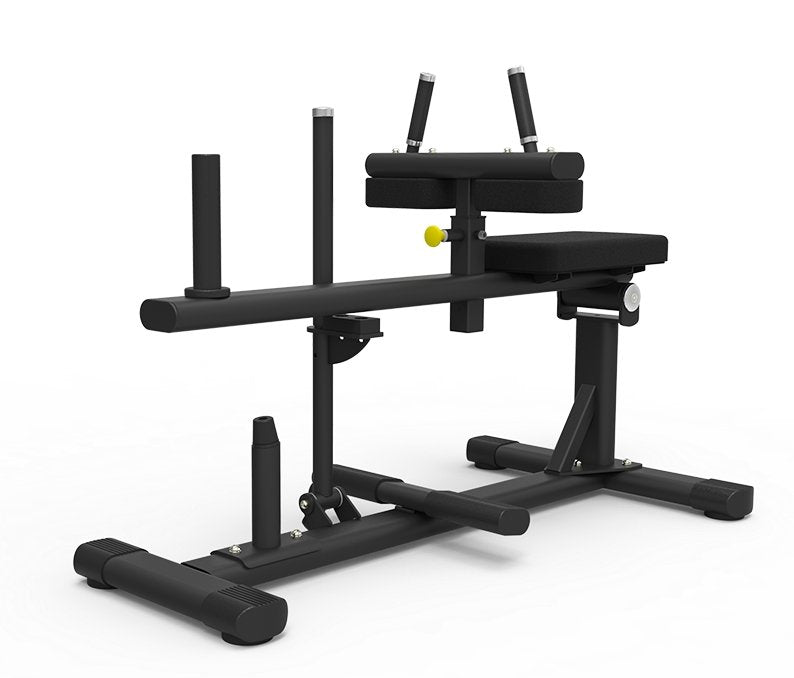 Sélectionner le fitness, Select Fitness Ignite Extension des mollets en position assise